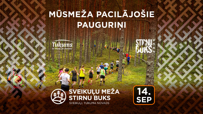 Stirnu buks returns to its native forest in the Tukums region